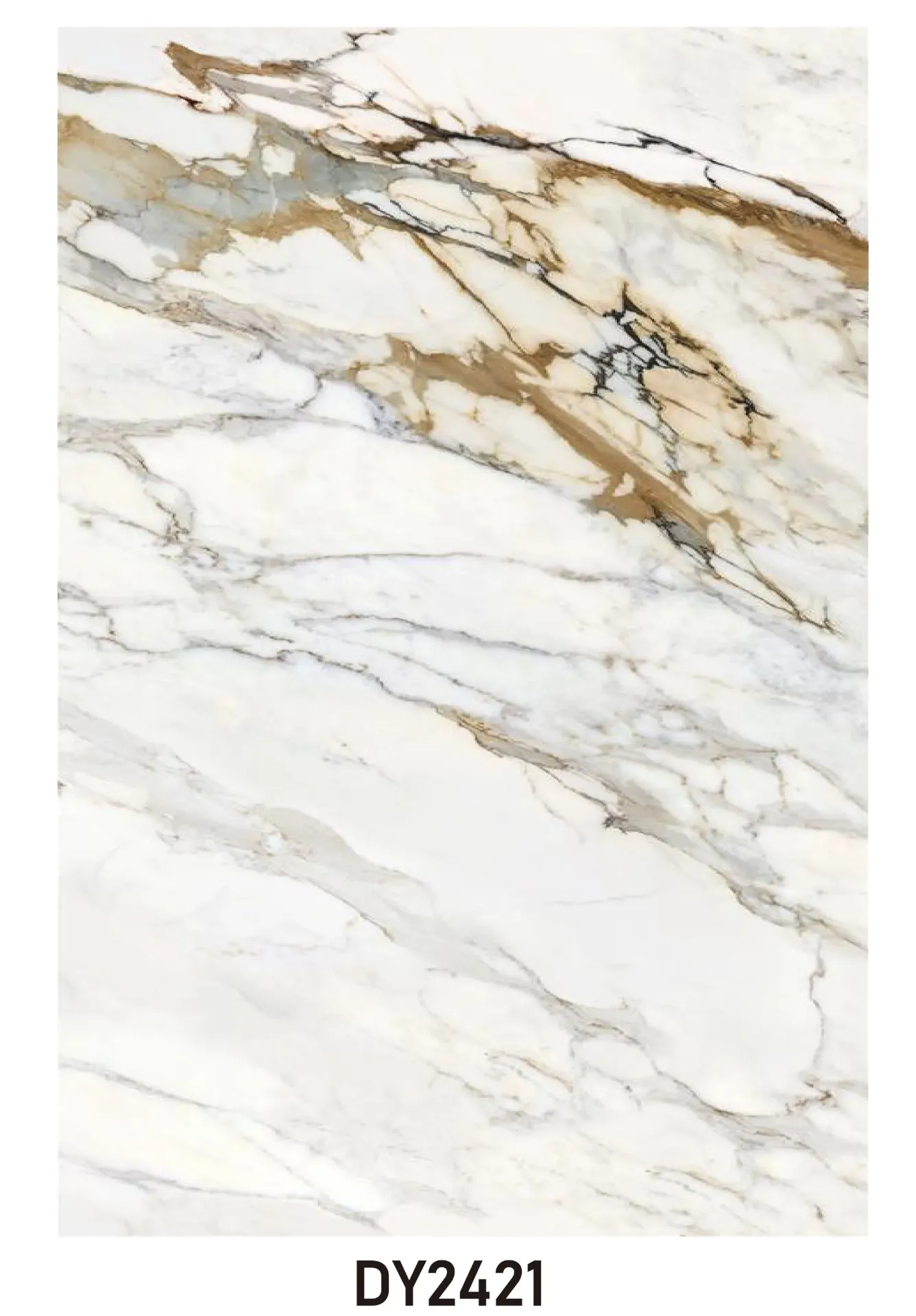 PVC Marble Sheet DY2421